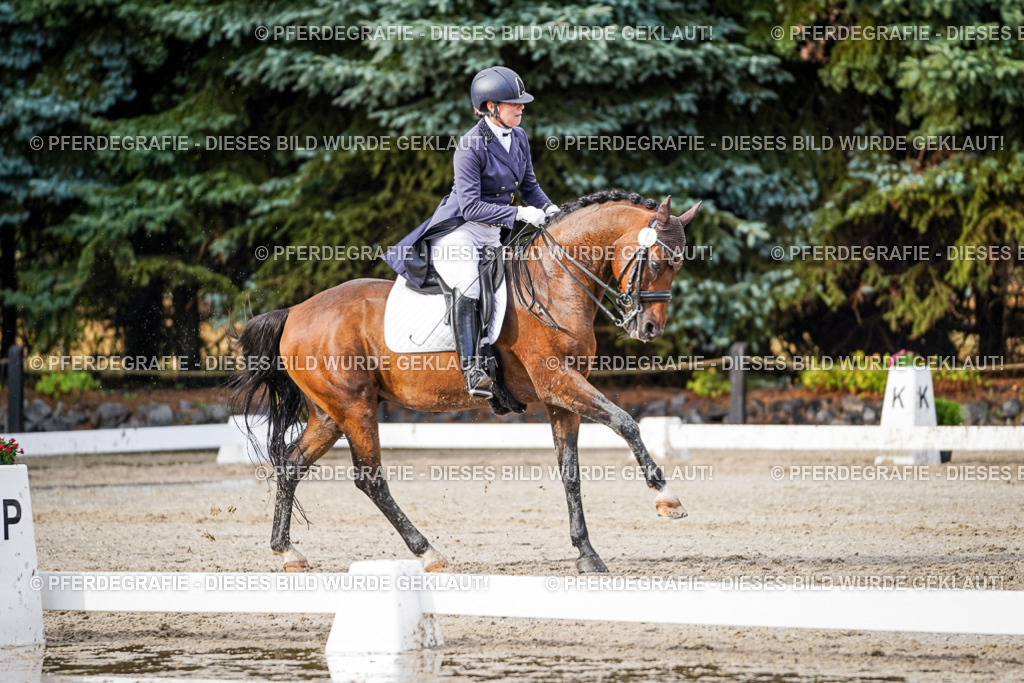 DSC00345 | Pferdegrafie