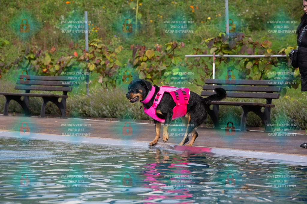 _HP_7591_1000o | HetPix, HetPix Fotodesign, Fotografie, Fotodesign, Webshop, Sportfotografie, Portraitfotografie, Onlineshop, Sportfotografie, Polch, Motorsportfotografie, Eventfotografie