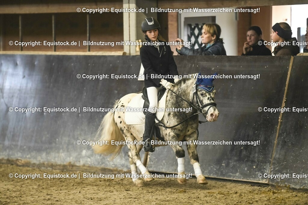 20231029_02_Reiter-WB_Schritt-Trab-Galopp_Abteilung-01_0069 | Foto: Thomas Hartig