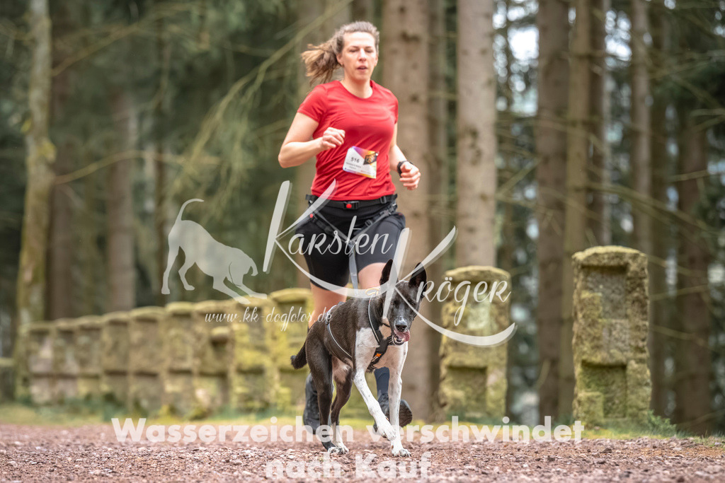 0802DZ6_2761 | kk-dogfotos