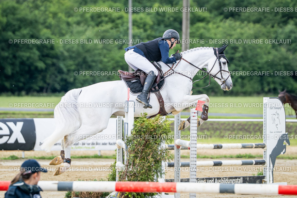 DSC04234 | Pferdegrafie