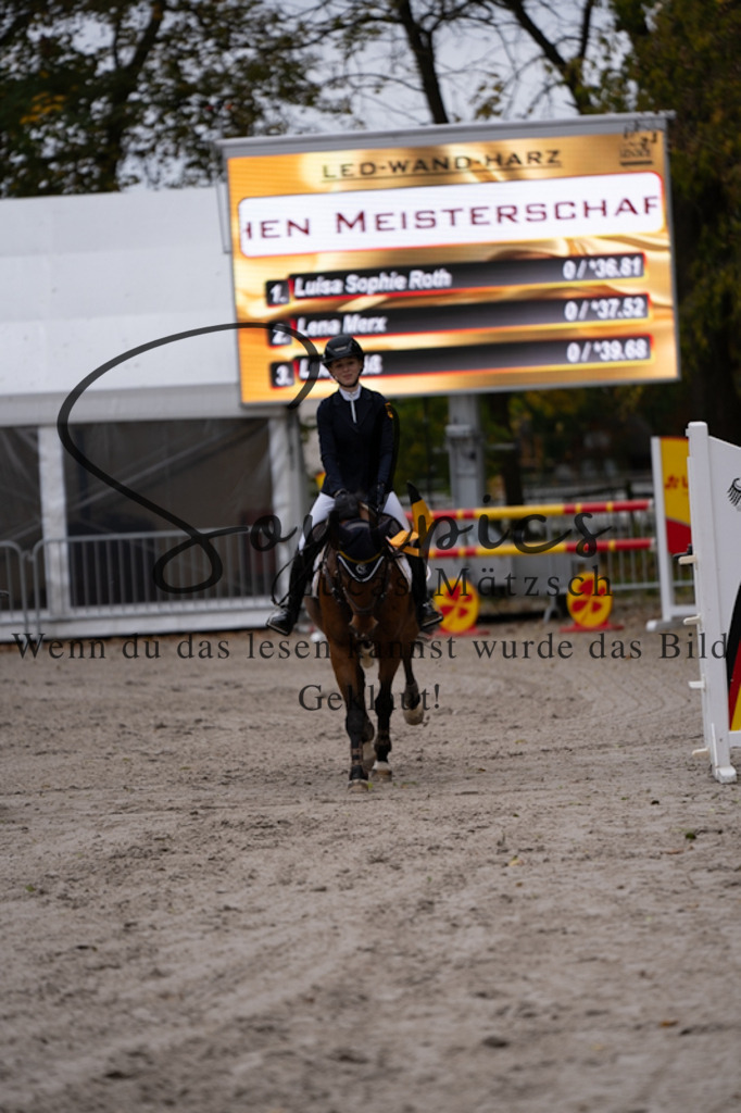 A7V01153 | Pferdefotograf