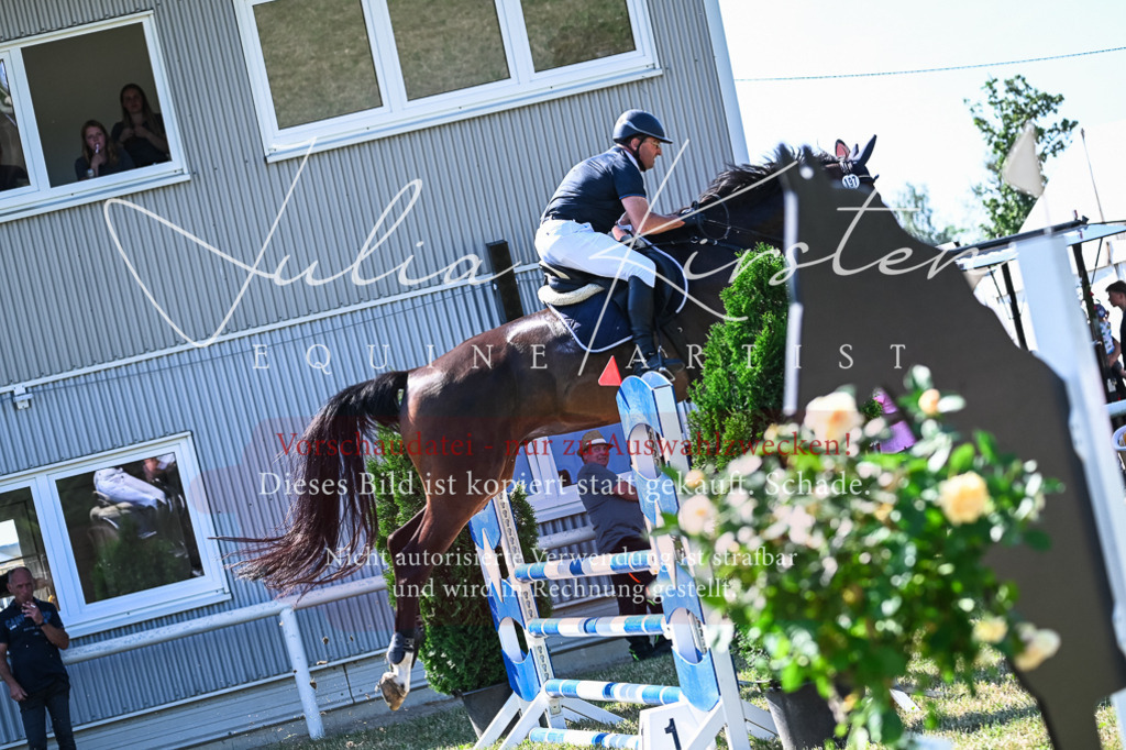 DSC_1703 | Pferde- und Turnierfotografie in Westsachsen. Pferdeportraits, Auftragszeichnungen und intuitive Kunst.