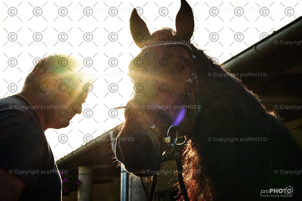 017_202406_Niki-Herodes_NZ9_9677 | proPHOTO - Realisiert mit Pictrs.com