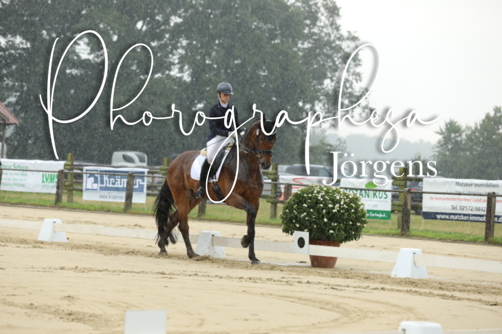 IMG_4773 | photographesa-joergens - Realisiert mit Pictrs.com