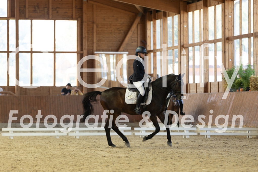 IMG_0074 | Creatify Fotografie