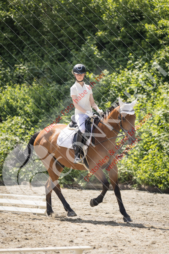 IMG_4605 | Sport-, Event- und Tierfotos in Profiqualität. Einfach auswählen, bestellen und herunterladen. Dein Moment – perfekt festgehalten.