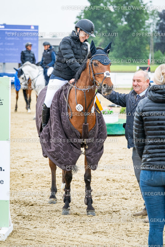 DSC09691 | Pferdegrafie