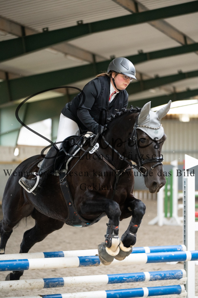 A7V07144 | Pferdefotograf