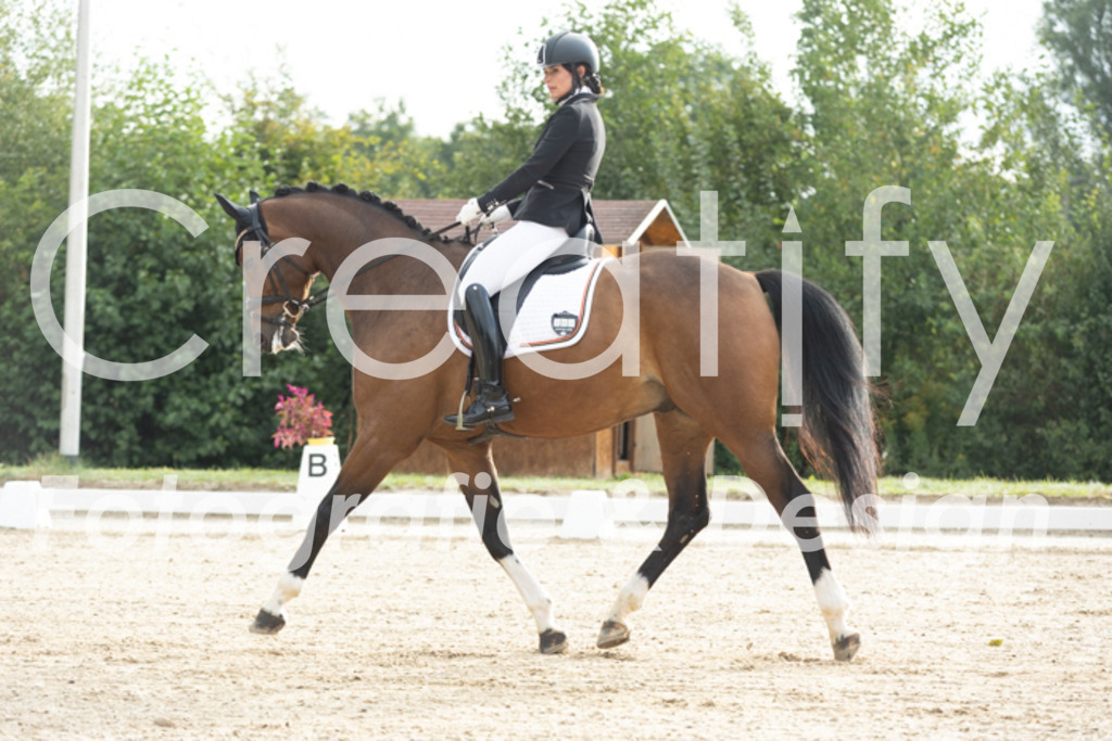 IMG_4112 | Creatify Fotografie