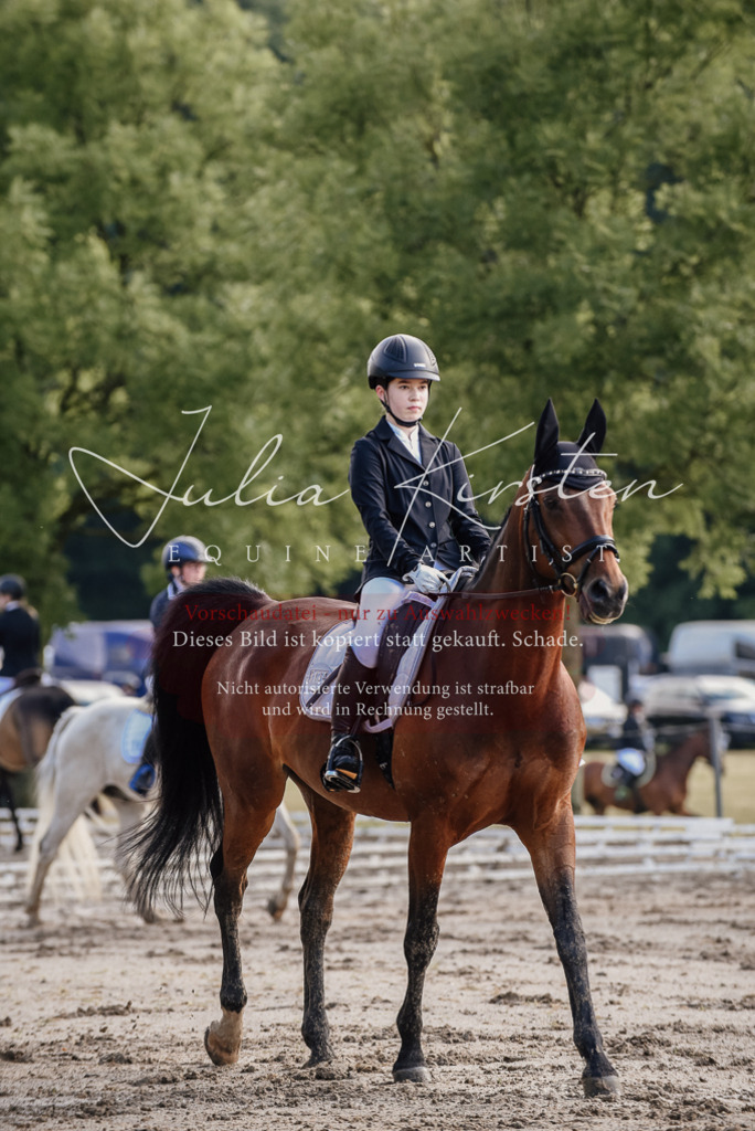 DSC_7943 | Pferde- und Turnierfotografie in Westsachsen. Pferdeportraits, Auftragszeichnungen und intuitive Kunst.