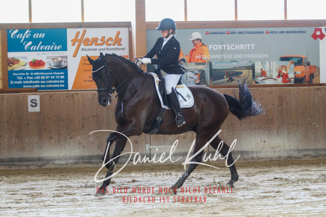 DKP45596 | Turniersportfotografie; Pferdefotografie; Dressurfotografie