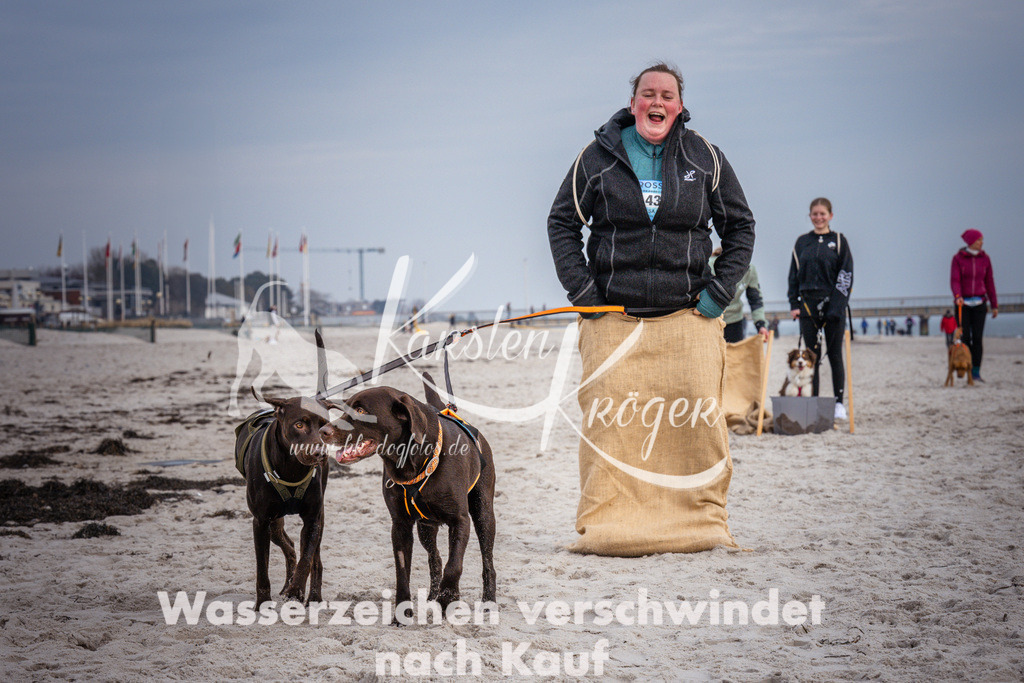 1300_ZZ97609 | kk-dogfotos
