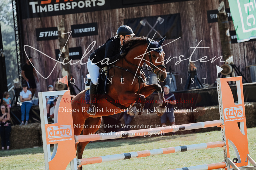 DSC_5792 | Pferde- und Turnierfotografie in Westsachsen. Pferdeportraits, Auftragszeichnungen und intuitive Kunst.