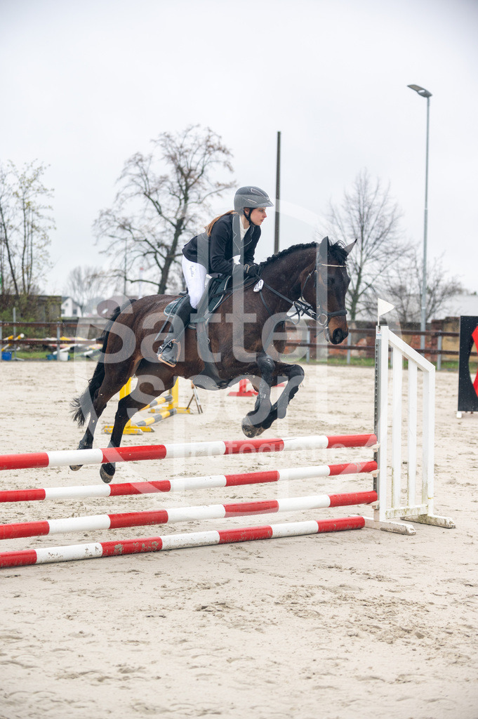 DSC_8522 | sattelsport - Realisiert mit Pictrs.com