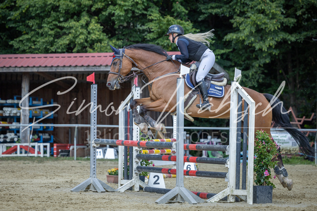 20260704-_3LI0621 | Tierfotografie Pferde, Hunde, Katzen, Haustiere.
Turnierfotografie Reitturniere, Reiten, Springreiten, Dressur in Hanau, dem Main-Kinzig-Kreis und dem Rhein-Main- Gebiet um Frankfurt