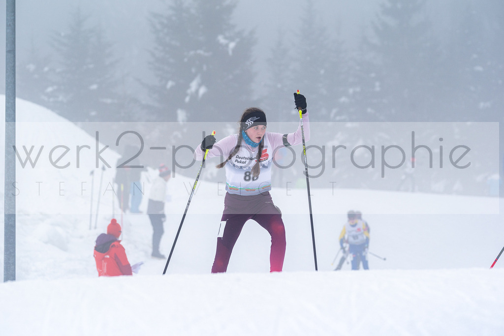 DSC Arber | Bayerischer Wald am 15. und 16. Januar 2022