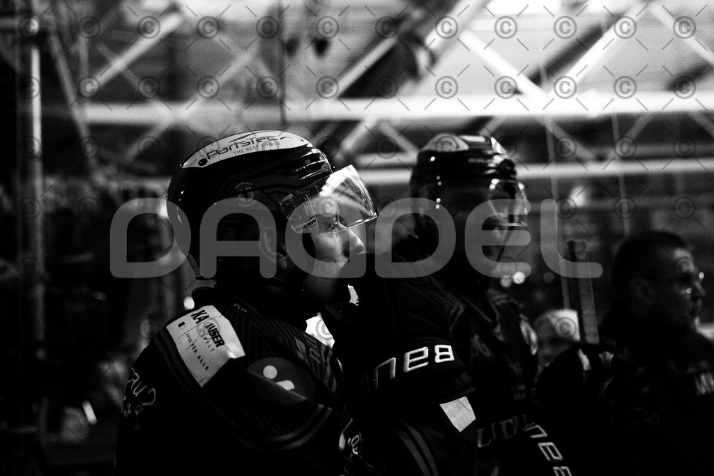 Alligators_vs_Bayreuth_19_10_2025-34 | Höchstadt Alligators Fotogalerie: Eishockey-Action aus Franken. Professionelle Spielfotos, Portraits & Stadionbilder zum Download. Jetzt entdecken! - Realisiert mit Pictrs.com
