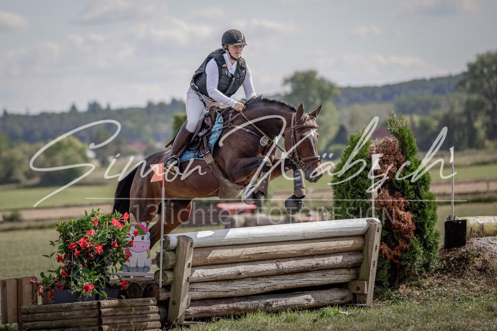 20250906-_3LI6803 | Tierfotografie Pferde, Hunde, Katzen, Haustiere.
Turnierfotografie Reitturniere, Reiten, Springreiten, Dressur in Hanau, dem Main-Kinzig-Kreis und dem Rhein-Main- Gebiet um Frankfurt