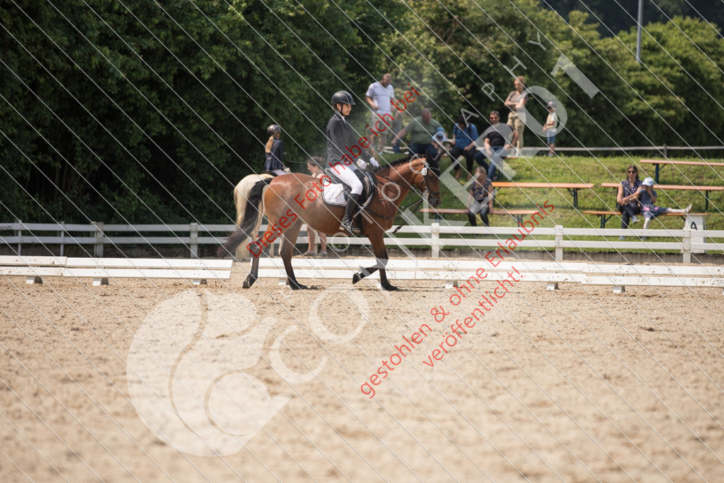 IMG_3551 | Sport-, Event- und Tierfotos in Profiqualität. Einfach auswählen, bestellen und herunterladen. Dein Moment – perfekt festgehalten.