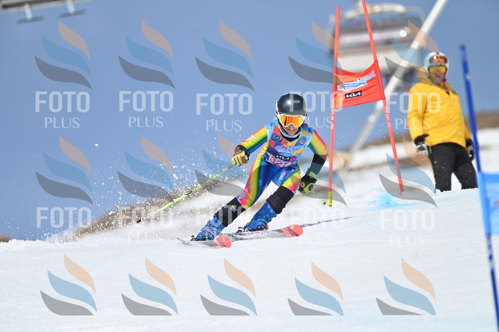 BGV_3218 | holidayphoto