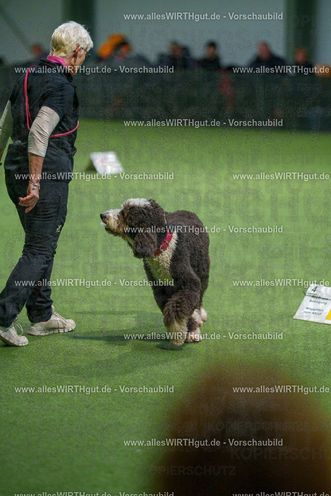 7R508042 | Professionelle Tierfotografie in Mönchengladbach von Daniel Wirth (allesWIRTHgut). Liebevolle & natürliche Bilder von Hunden & Katzen für unvergessliche Erinnerungen.