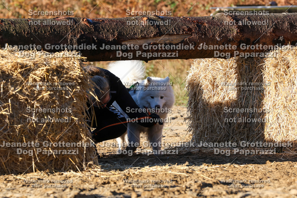 Dog Paparazzi - Strongdog 10-25-1206 | Dog Paparazzi Jeanette Grottendiek Fotografie & Videografie - Realisiert mit Pictrs.com
