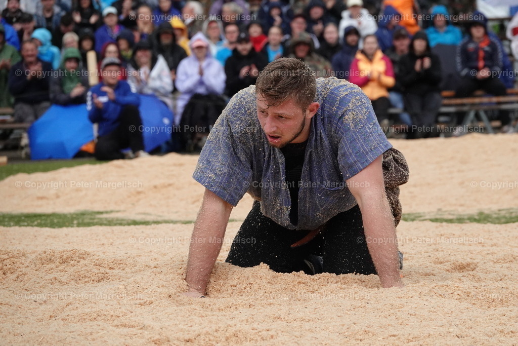 DSC03731 | Schwingen - Realisiert mit Pictrs.com