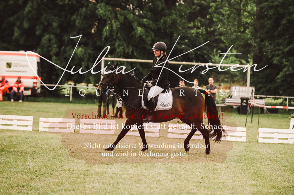 DSC_4913 | Pferde- und Turnierfotografie in Westsachsen. Pferdeportraits, Auftragszeichnungen und intuitive Kunst.