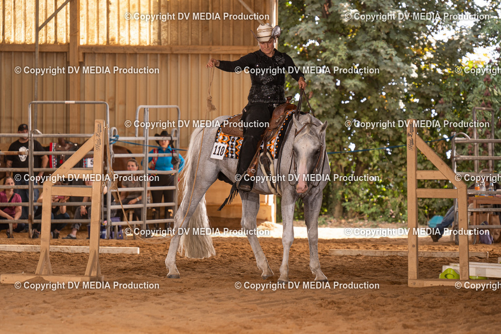 NID00689 | dv-media-shop - Realisiert mit Pictrs.com