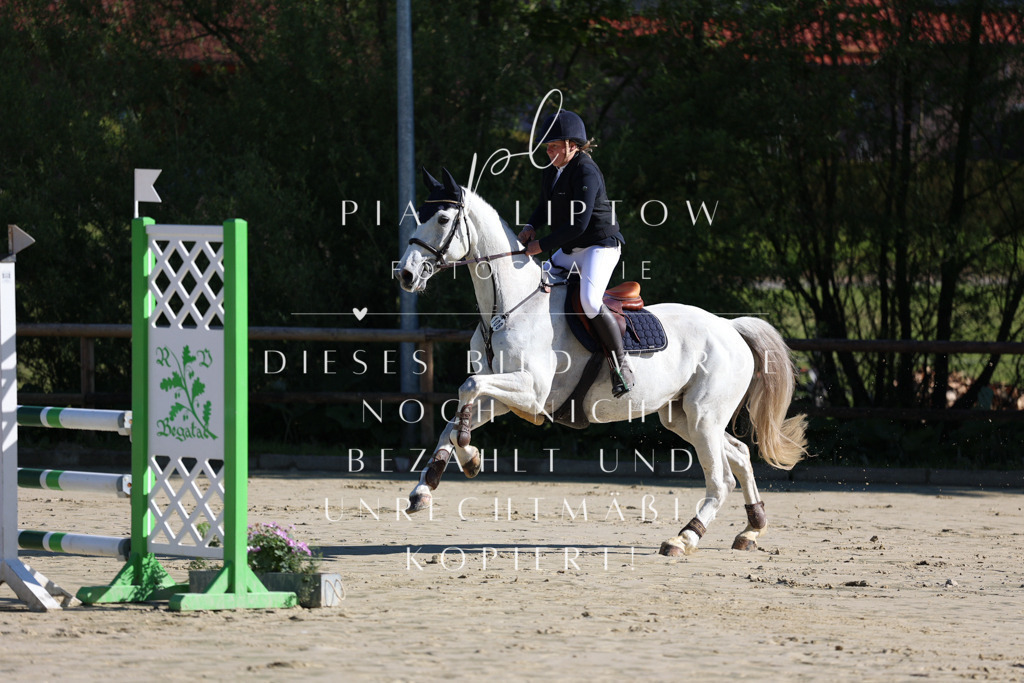 IMGS6006 | pl-fotografie