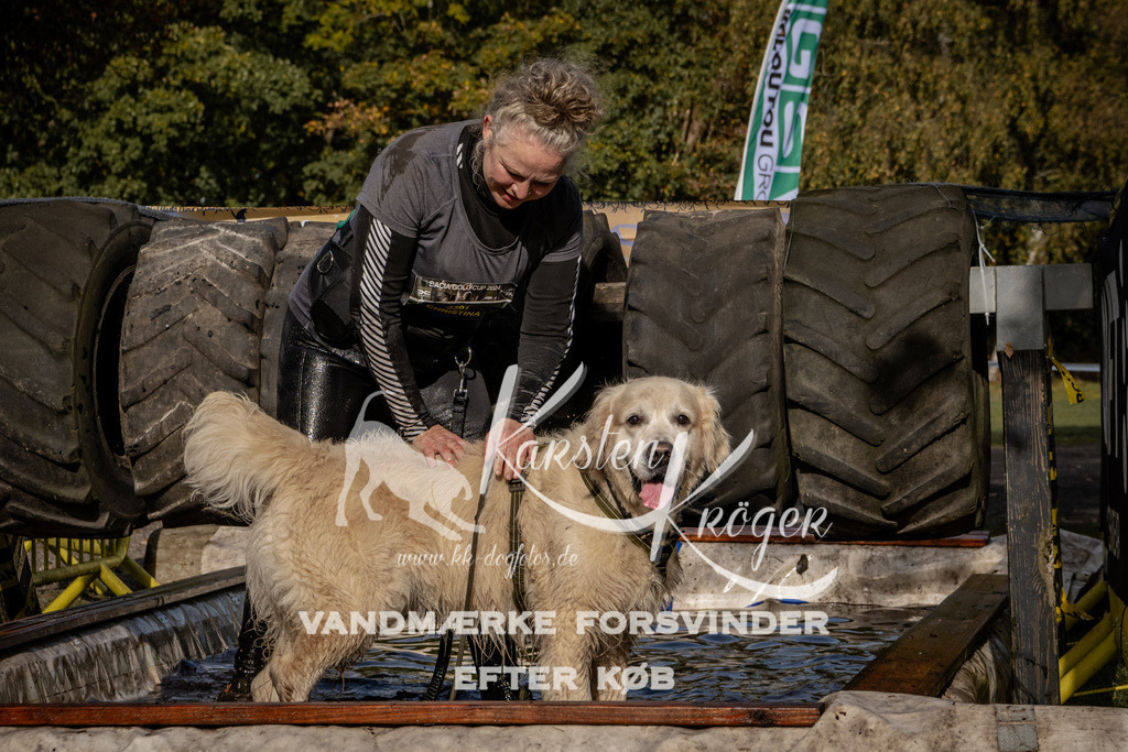 1332_ZZ92791 | kk-dogfotos
