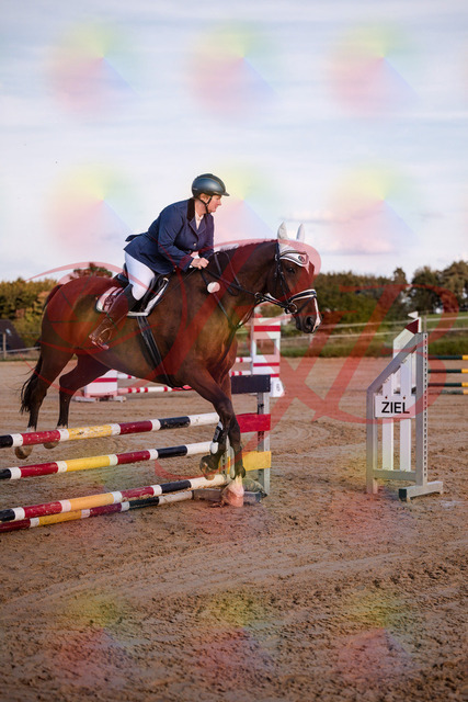 2026_10_03_Siefer-Hof_170340_Z81_00417180 | Professionelle Reitsport-, Turnier- und Eventfotografie von Robert Broda. Galerien mit ausgewählten und bearbeiteten Bildern direkt online ansehen und bestellen.