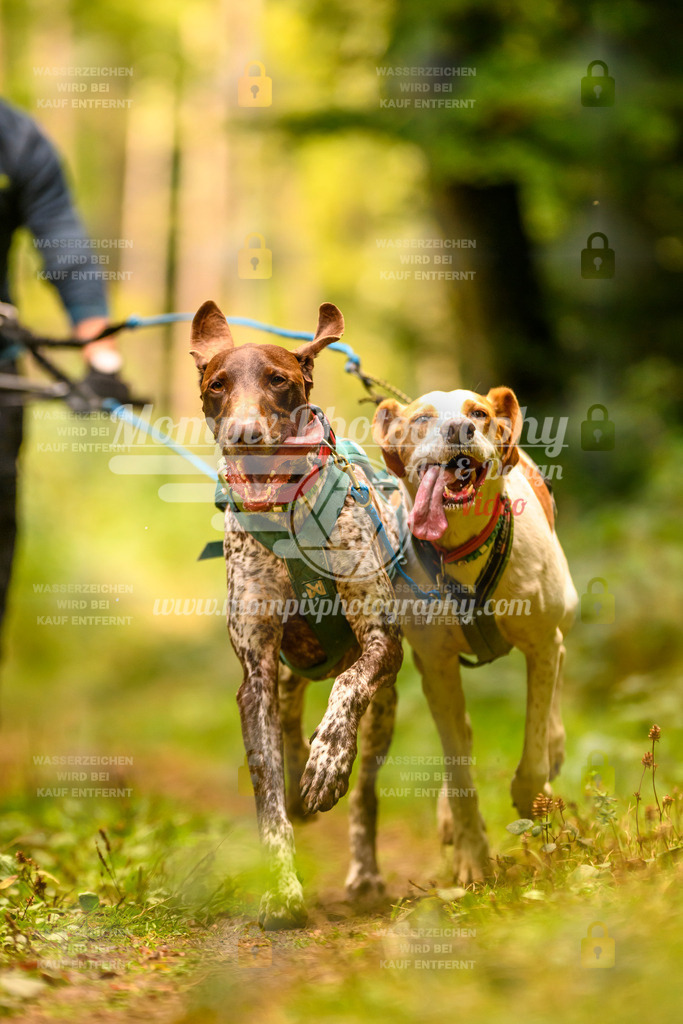 MompixPhotography_Yens2025_B2-153 | PayLife