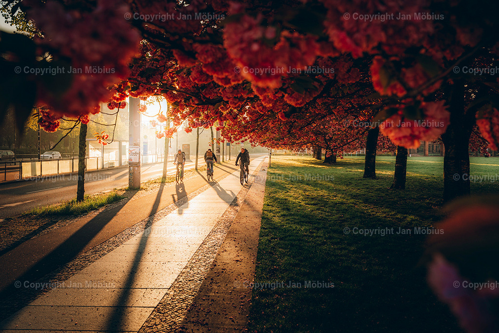 _DSC1781 | Leipzig Wandbilder Drucke Prints Leinwand Stadtmotive Leipzig Fotosdruck Kunstdrucke Bilder Leipzig Stadtansichten Acrylglasbilder Leipzig Wanddeko Fine Art Prints Wandbilder Büro Leipzig Bilder Praxis Zuhause Bilderdruck Poster Posterlounge Kunstdrucke - Realisiert mit Pictrs.com