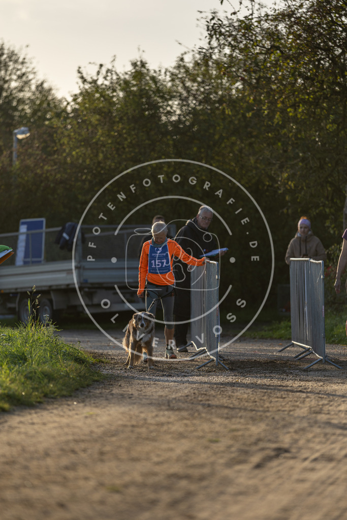 Pfotenfotografie.de_DV3A2579 | Hundefotografie, Tierfotograf, Pfotenfotografie, Fotoshooting Hund, Hunde Portrait, Hundesport, Hundeportraits, Heideshooting, Hunde, Sportfotograf, Hundefotograf, Turnierhundsport, THS, canicross - Realisiert mit Pictrs.com
