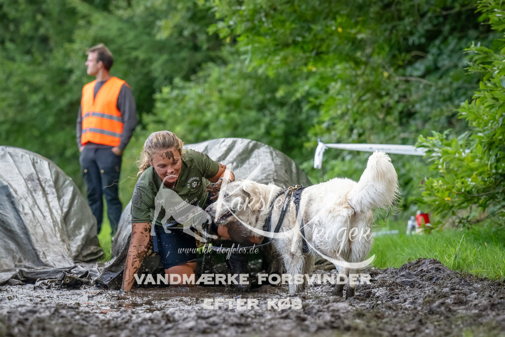 1153_ZZ90026-Bearbeitet | kk-dogfotos