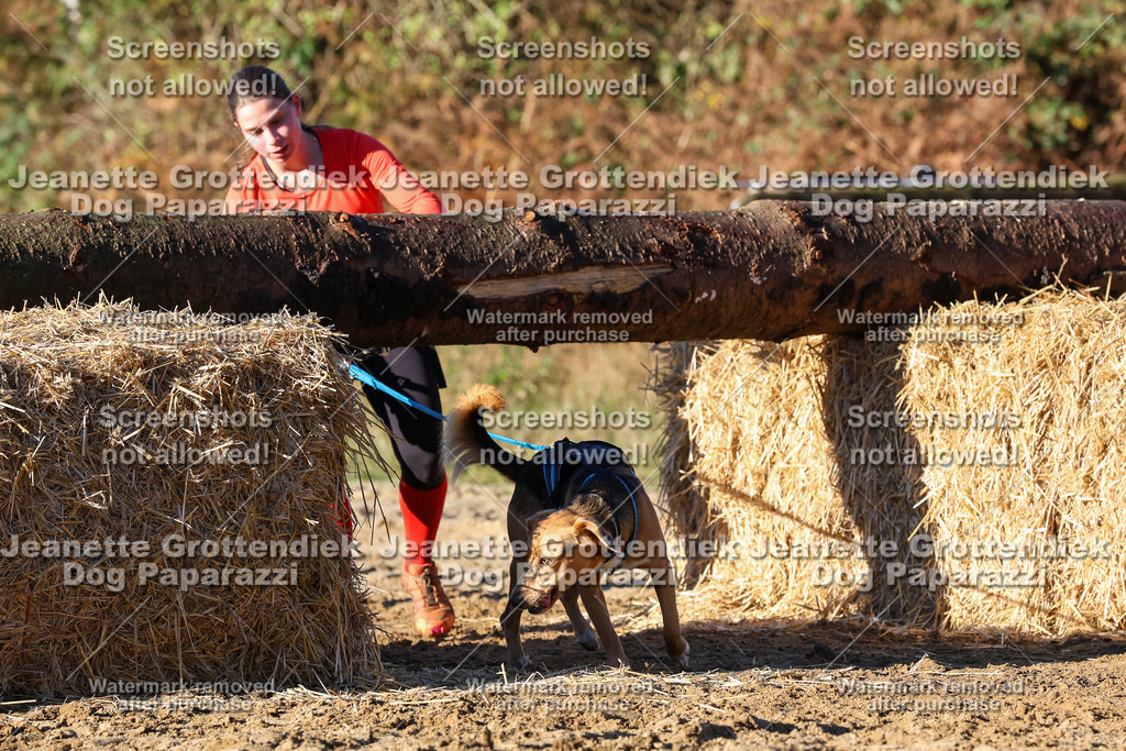 Dog Paparazzi - Strongdog 10-25-1364 | Dog Paparazzi Jeanette Grottendiek Fotografie & Videografie - Realisiert mit Pictrs.com