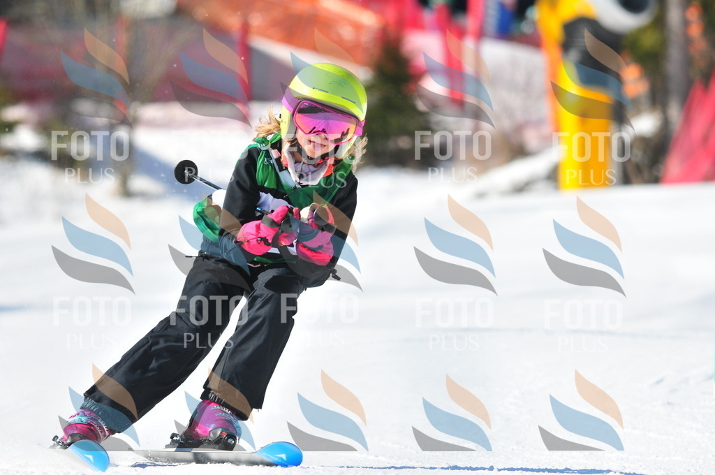 C2743 | holidayphoto