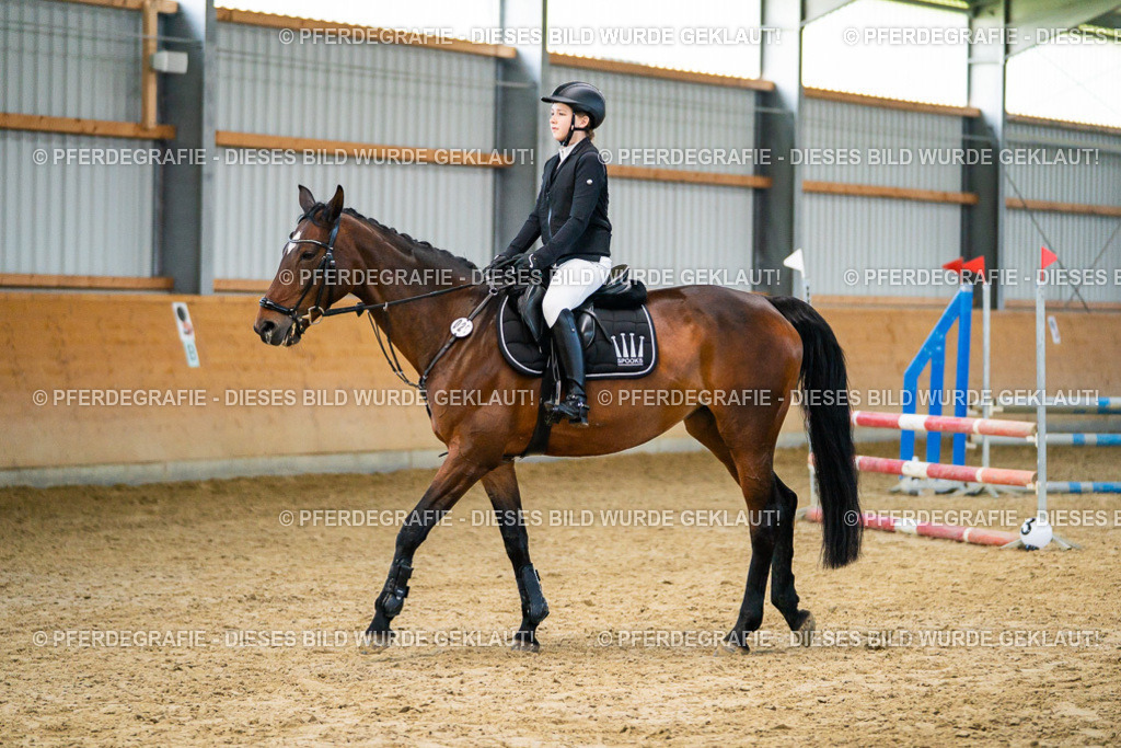 DSC00640 | Pferdegrafie