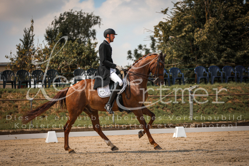 19.FrDrS00085 | Leoni Ertmer Photography - Realisiert mit Pictrs.com