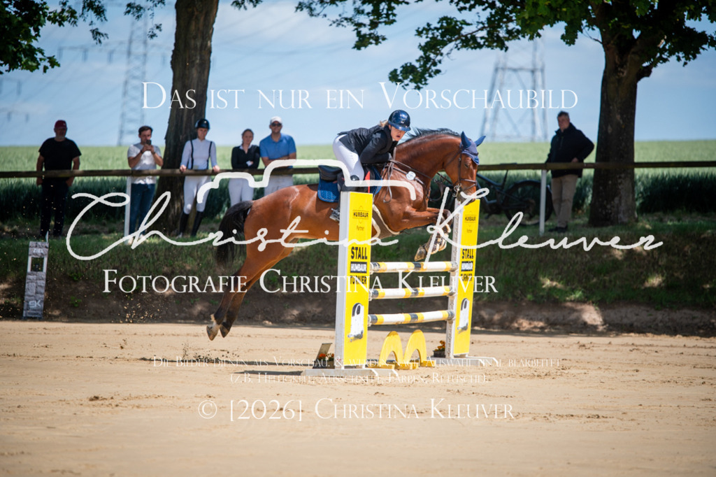 DSC_2610 | Christina-Kleuver