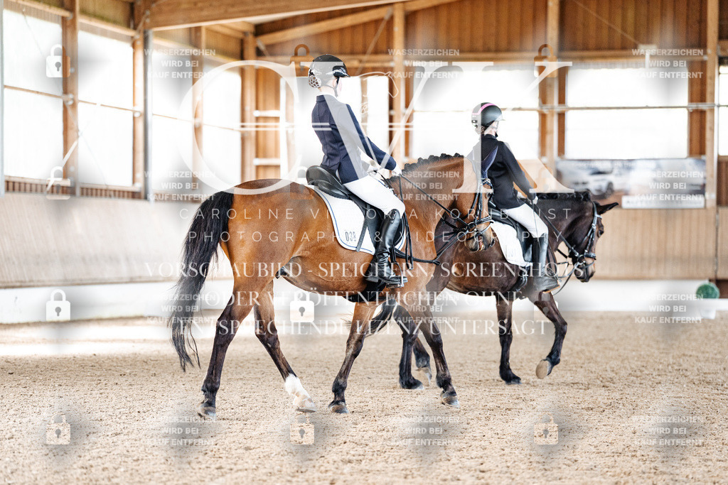CK909452 | Turnierfotografie Pferdefotografie Trier Rheinland-Pfalz Pferdesport Reitsport Tierfotografie Sportfotografie Pferdevideo Pferdevideografie Equestrianvideography equestrianphotography  - Realized with Pictrs.com