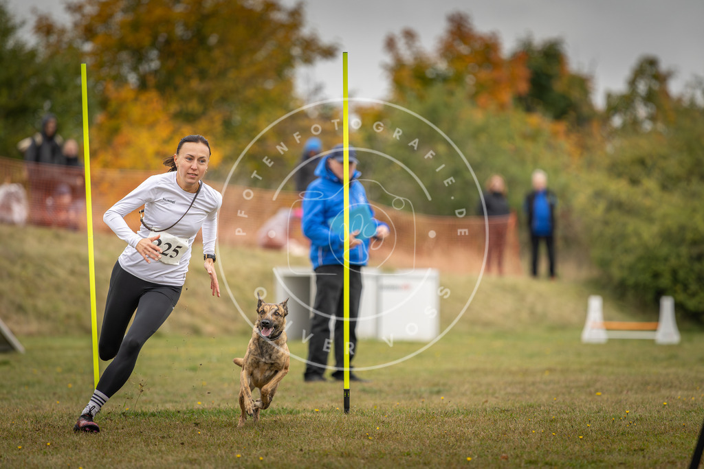 Pfotenfotografie_DV3A3931 | Hundefotografie, Tierfotograf, Pfotenfotografie, Fotoshooting Hund, Hunde Portrait, Hundesport, Hundeportraits, Heideshooting, Hunde, Sportfotograf, Hundefotograf, Turnierhundsport, THS,  - Realisiert mit Pictrs.com