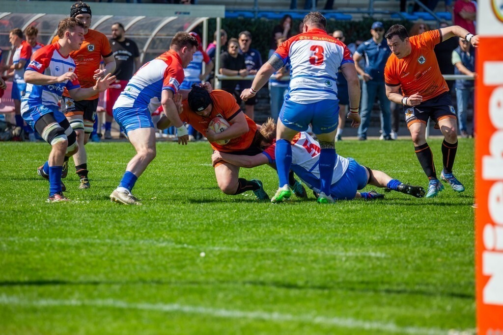 Rugby 1. Bundesliga Süd/West, Saison 2024/25, 10. Spieltag: RG Heidelberg gegen Heidelberger Ruderklub 1872  | Rugby 1. Bundesliga Süd/West, Saison 2024/25, 10. Spieltag: RG Heidelberg gegen Heidelberger Ruderklub 1872  - Realisiert mit Pictrs.com