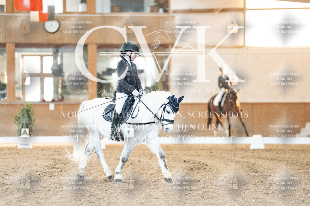CK906379 | Turnierfotografie Pferdefotografie Trier Rheinland-Pfalz Pferdesport Reitsport Tierfotografie Sportfotografie Pferdevideo Pferdevideografie Equestrianvideography equestrianphotography  - Realized with Pictrs.com