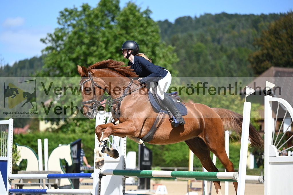 DSC_8276 | equestrian-live-com