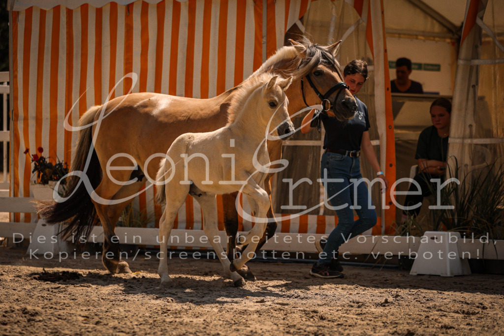 05.DoF00087 | Leoni Ertmer Photography - Realisiert mit Pictrs.com