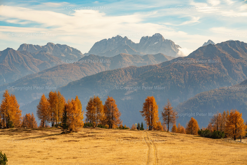 Samalm_Herbst_Lesachtal_2022-914 | piet_flosse