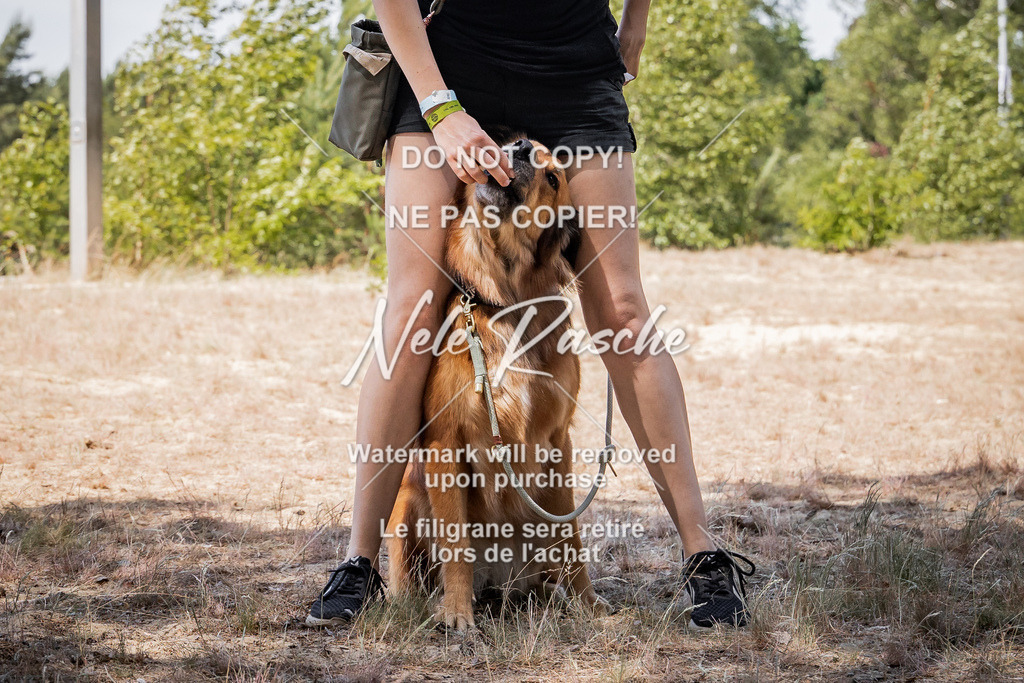 nelerasche_soDD3_225 | nelerasche